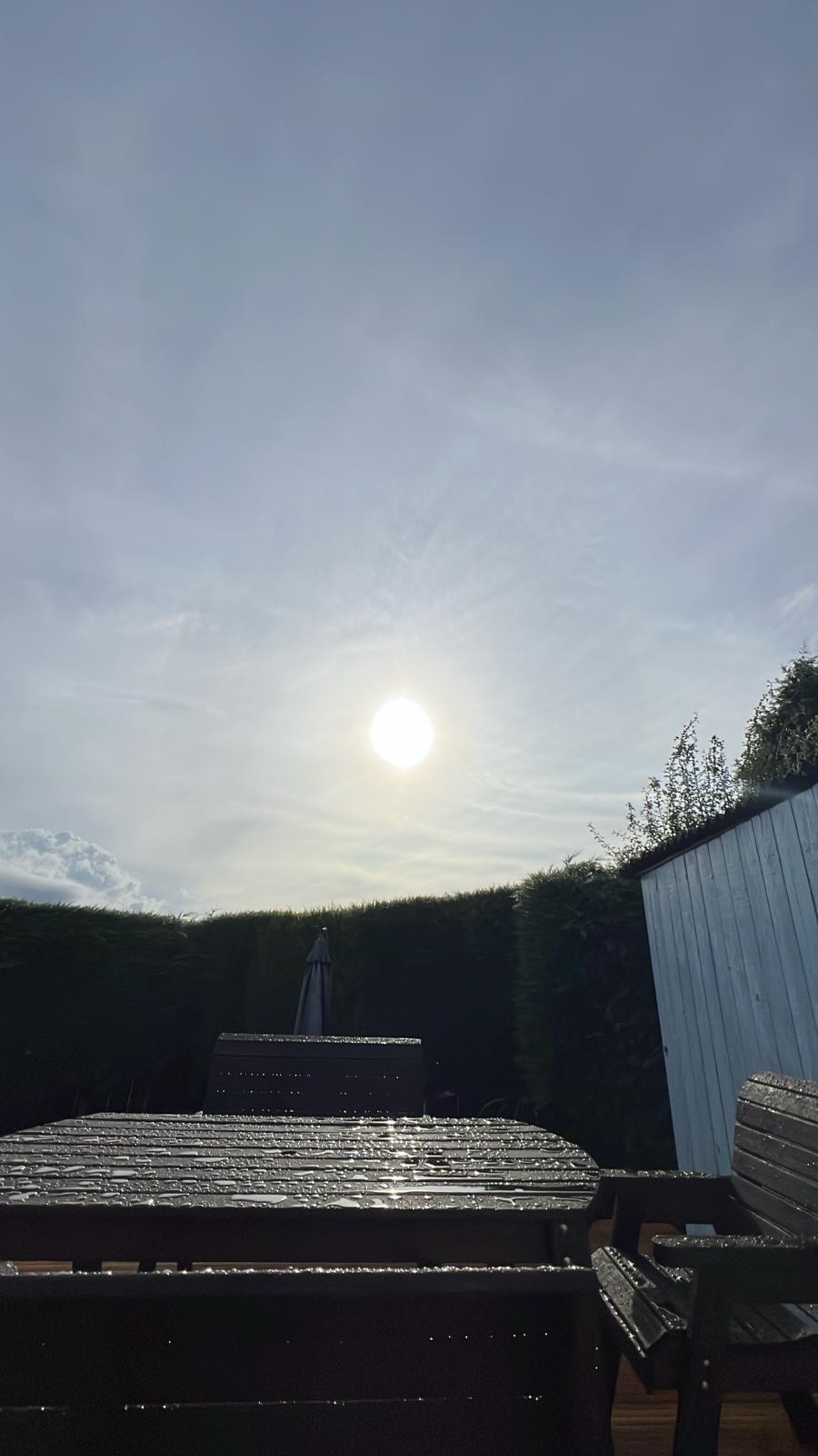 Bild 2 von 12