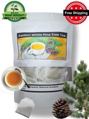 Eastern White Pine Needle Tea 50  Bags Organic Wild Suramin Immunity boosting