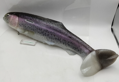 Signal Ultra Carp Rainbow Trout Giant swimbait Japan fishing lure