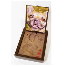 PawPals Paw Print Keepsake Classic Mold Kit - BRAND NEW LARGE