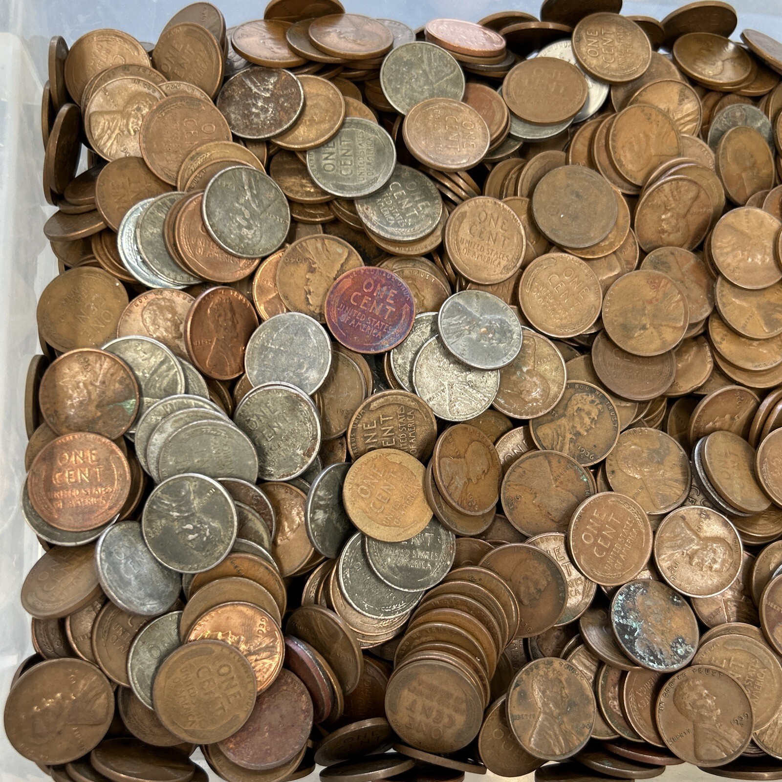 Bag of 5000 1909 1958 Wheat Cents Unsearched Coin Shop Hoard 8 eBay