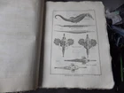 PANCKOUCKE ICHTHCHYOLOGY FISH ORIGINAL ENGRAVING FROM 1788 22 X 31 Cms