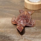 Turtle lot. Featuring color changing ball with stand, sea shell, wood, glass. 5 — photo 5