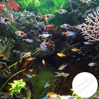 2Pcs Transparent Acrylic Co2 Diffuser Tubes with U Shape for Home Aquarium