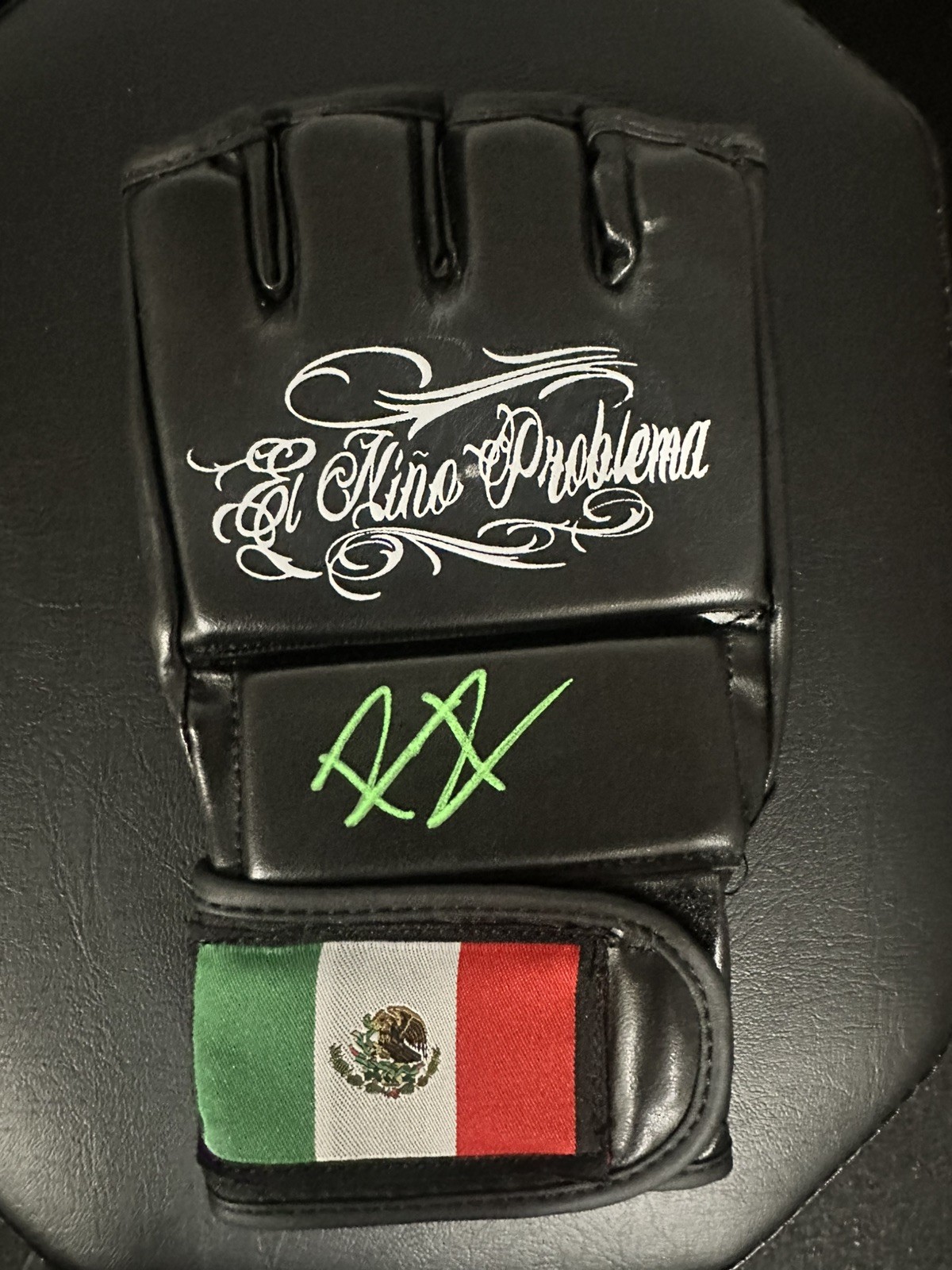 Raul Rosas Jr.  Signed UFC Glove PSA Authentication Hologram  EL Nino Problema