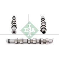 INA 428 0171 10 Nockenwelle FüR Skoda VW Seat Ibiza SC Cordoba Toledo Rapid 6J5