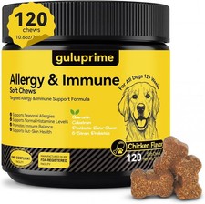 Dog Allergy Relief Chews   Seasonal Allergy Support for Dogs with Environmental