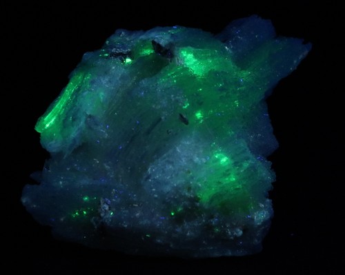Gypsum Selenite Brilliant Fluorescent UV Ojuela Mine Mexico COA 6491 - Picture 11 of 11