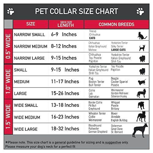 Buckle-Down Martingale Dog Collar - INSIDE OUT/Emotion Expressions/EVERY DAY IS - Picture 2 of 3