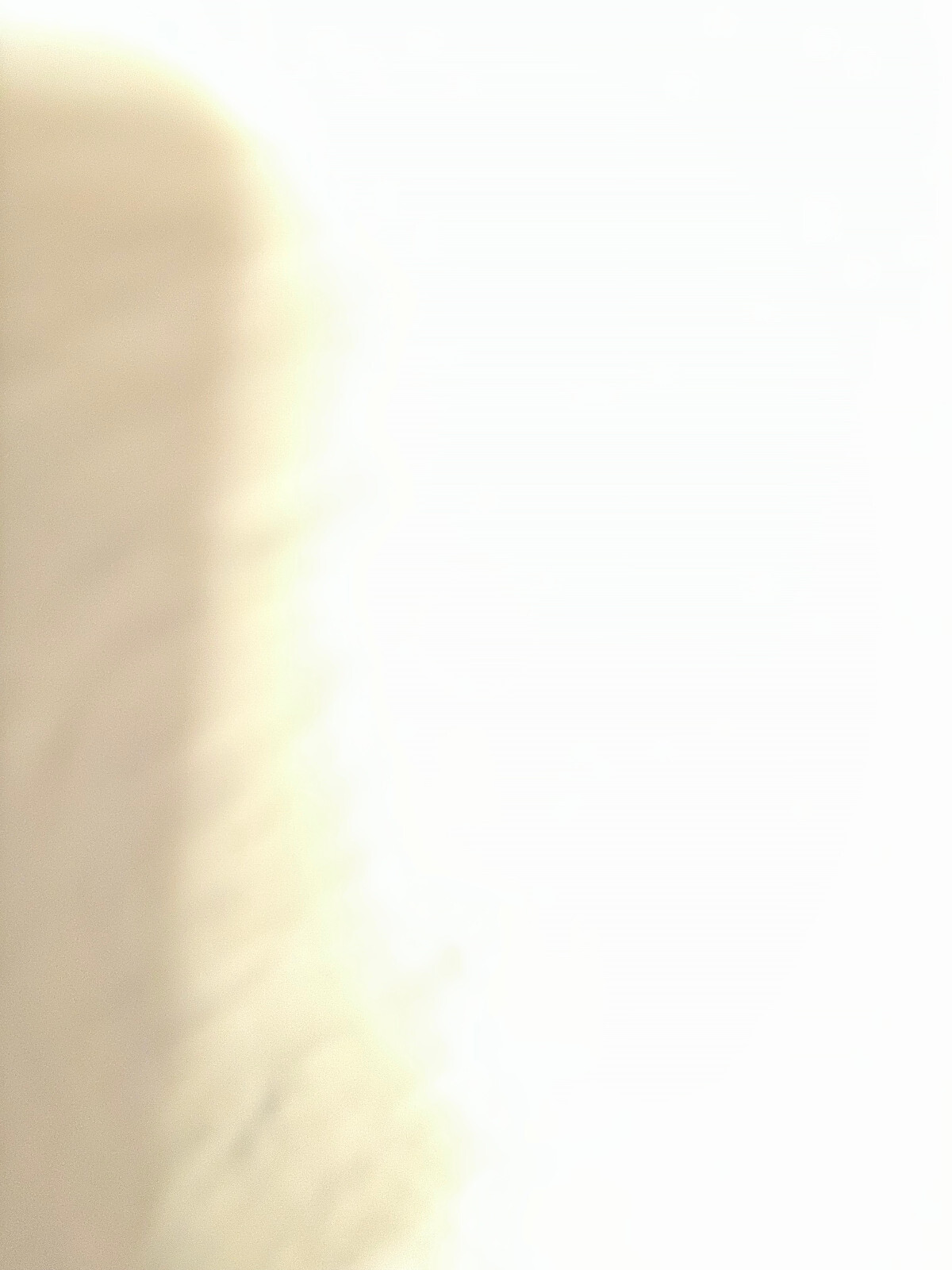 Picture 6 of 6