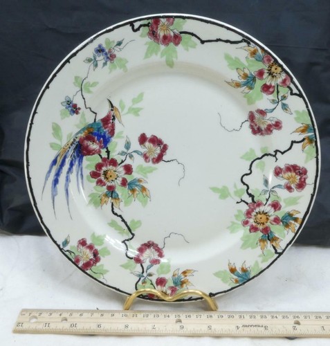 Schöner Vogel Teller Willard Hotel Washington DC Syrakus China!