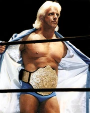 Pro Wrestler RIC FLAIR Glossy 8x10 Photo Wrestling WWF Print WWE Poster WCW