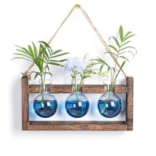 Plant Propagation Station with Wood Stand - Wall Glass Terrarium Gradient Blue