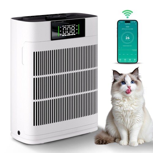 Air Purifier Home HEPA Large Room Air Cleaner for Allergies Smoke Mold Odor Dust