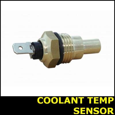 Miei T　0206 Miller Weldcraft 269767 Hose Water 6 ft Braided | eBay