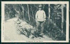 Brescia Militari War Dog cartolina QK7244