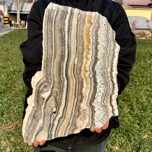 8.37LB Large Natural Banding Zebra Calcite Polished Slab Crystal Reiki Healing