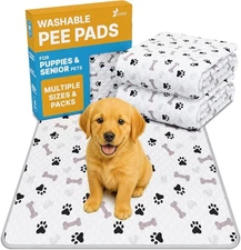 Best-in-Class Absorption Dog Training Pads 34x36 - Pack of 2 for All Breeds