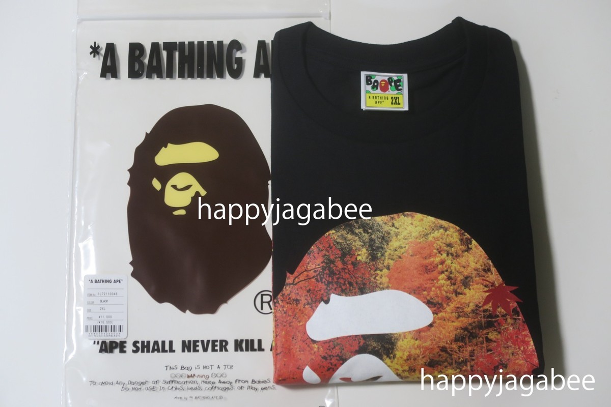 A BATHING APE Men's JAPAN AUTUMN PHOTO APE HEAD TEE 1L72110048 b