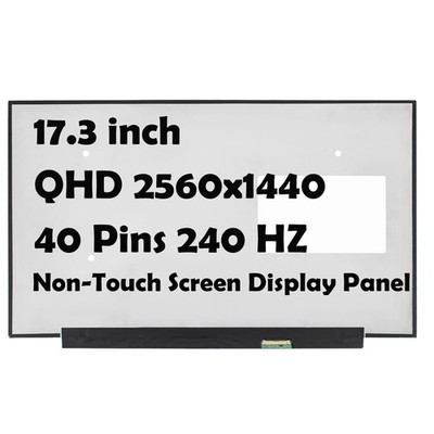 NE173QHM-NZ2 V8.0 2560x1440 EDP 40 Pin QHD 17.3'' 240HZ LCD SCREEN Display Panel