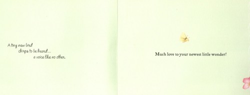 Congratulations New Baby Bird Wren Wrens Bloom Marjolein Bastin Hallmark Card - Picture 2 of 3