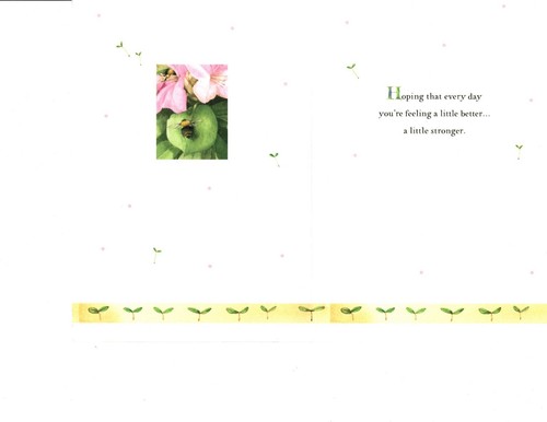 Get Well Soon Comfort Heal Bird Bath Birdsong By Marjolein Bastin ...