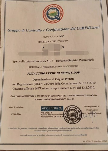 Pistacchio Sgusciato Dop Di Bronte 1kg Anno 2023 - Foto 4 di 4