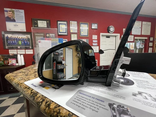 Genuine BMW Heated Outside Mirror Memor (2019-2023) OE 51168738349 Small Chip