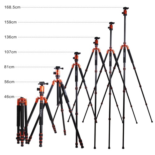 ZOMEI Pro Z818 Stativ Einbeinstativ Fotostativ + Kugelkopf für Canon DSLR Kamera - Bild 5 von 9