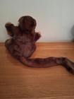 Bild 4 von 5