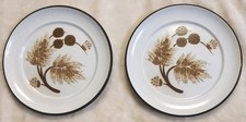2 Denby Cotswold Appetiser Side Cake Tea Plates 17cm 6.5" Vintage 70s Autumn 70s
