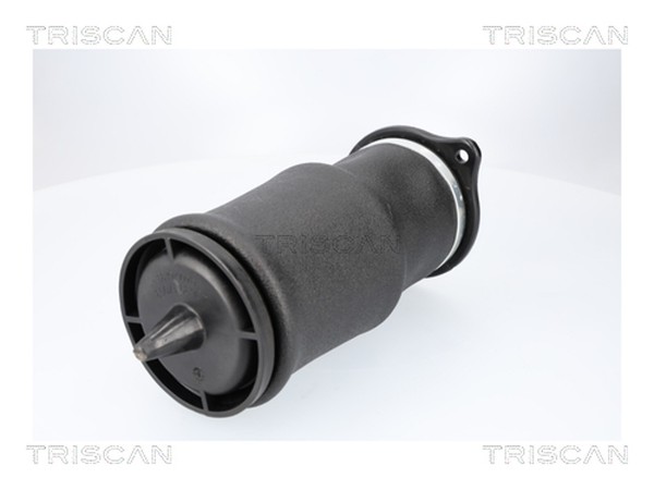 Triscan Luftfeder Fahrwerk 8720 23210 FüR Mercedes Vito Bus W639 Mixto Viano 109-image