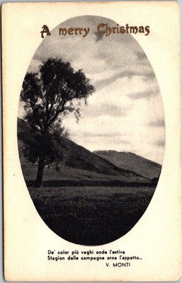 Vintage Italian A Merry Christmas Postcard V Monti Scenic Oval Photo Unposted