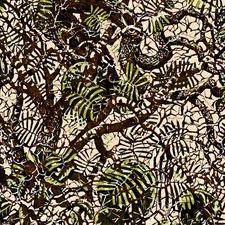Brush Country Canyon Camouflage - 18"x46" Hydrographic Film Hydro Dipping