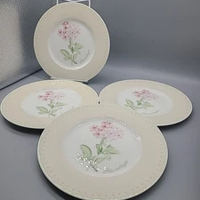 Villeroy & Boch Set (4) Florea Floris Salad Plates House Garden 8.5” New