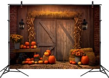 10x8ft Wood Barn Door Harvest Fruit Pumpkin Fall Vinyl Backdrop Photo Background