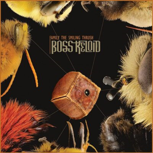 Boss Keloid Family the Smiling Thrush (Vinyl LP) 12" Album
