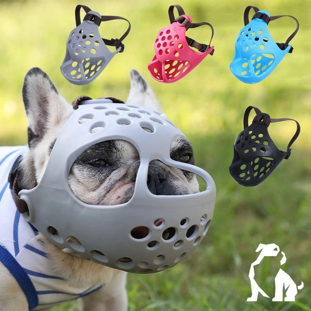 Anti Barking Short Snout French Bulldog Biting Chewing Pet Dog