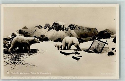 13170700 - 7000 Leipzig Pelz- und Jagd-Ausstellung - Eisbaeren Daen.