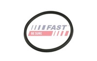 Fast Dichtring, Ladeluftschlauch FT48965 Passend FüR Nissan Opel Renault