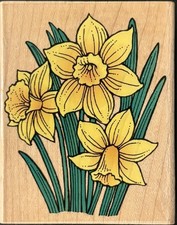 Hero Arts Daffodil Portrait Rubber Stamp
