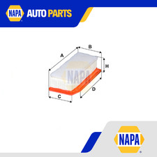 Image of Air Filter NFA1542 NAPA Genuine Top Quality Guaranteed New