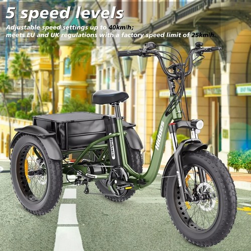 Hidoes ET1 3-Rad Elektrofahrrad 750W 20 Zoll Elektro Dreirad E-Bikes mit Korb - Bild 5 von 24