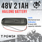 48V 21Ah Hailong Lithium Battery 1000W Ebike 54.6V Charger BMS Protection