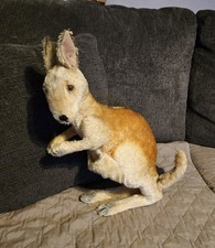 Vintage Large Steiff Kangaroo Kangoo Mohair Plush Head Turns