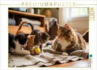 Calvendo Puzzle KäTzchen Spielen Mit Dem Ball | 2000 Teile Lege-GrößE 90X67Cm Fo