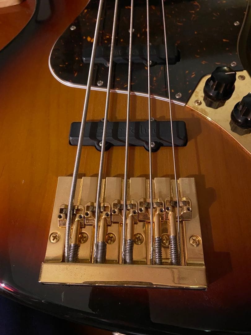 FGN Neo Classic NJB100V-3TS ジャズベース 5弦 FGN Neo Classic NJB100V-3TS Jazz Bass 5-string Safe Packing! | eBay