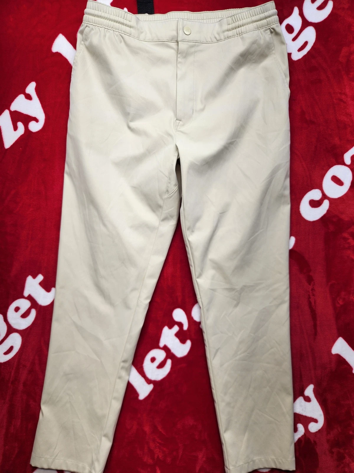 The North Face Men’s Beige Hiking Pants Size 34 Regular Elastic Waist Outdoor