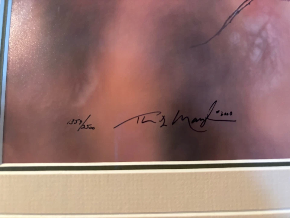 Impresión fotográfica firmada por Thomas Mangelsen The Limb-Female Cardinal Limited enmarcada Foto 3 de 4