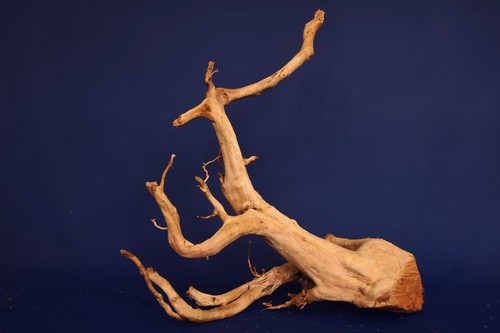 Aquarium Wurzel *58cm* / Redwood Premium / Aquarium Deko / Aquascaping RH2695 - Bild 3 von 3